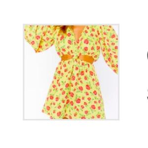 NWT Show Me Your MuMu dress